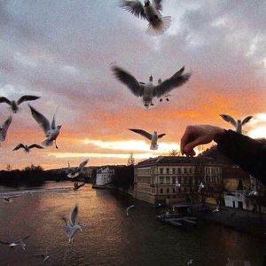 韩国五级黄色包片
